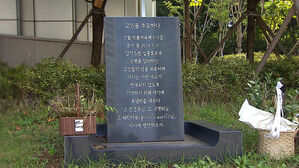 의사자 지정됐지만…절반만 국립묘지 안장, 왜?