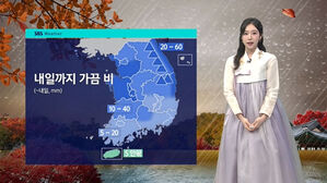 [날씨] 내일도 가끔 비…오늘처럼 다소 '쌀쌀'
