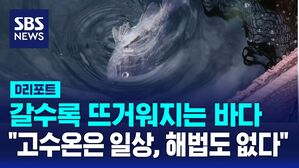 [D리포트] 갈수록 뜨거워지는 바다&hellip;"고수온은 일상, 해법도 없다"