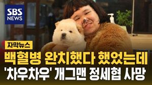 [자막뉴스] '차우차우' 개그맨 정세협 41세 나이로 사망