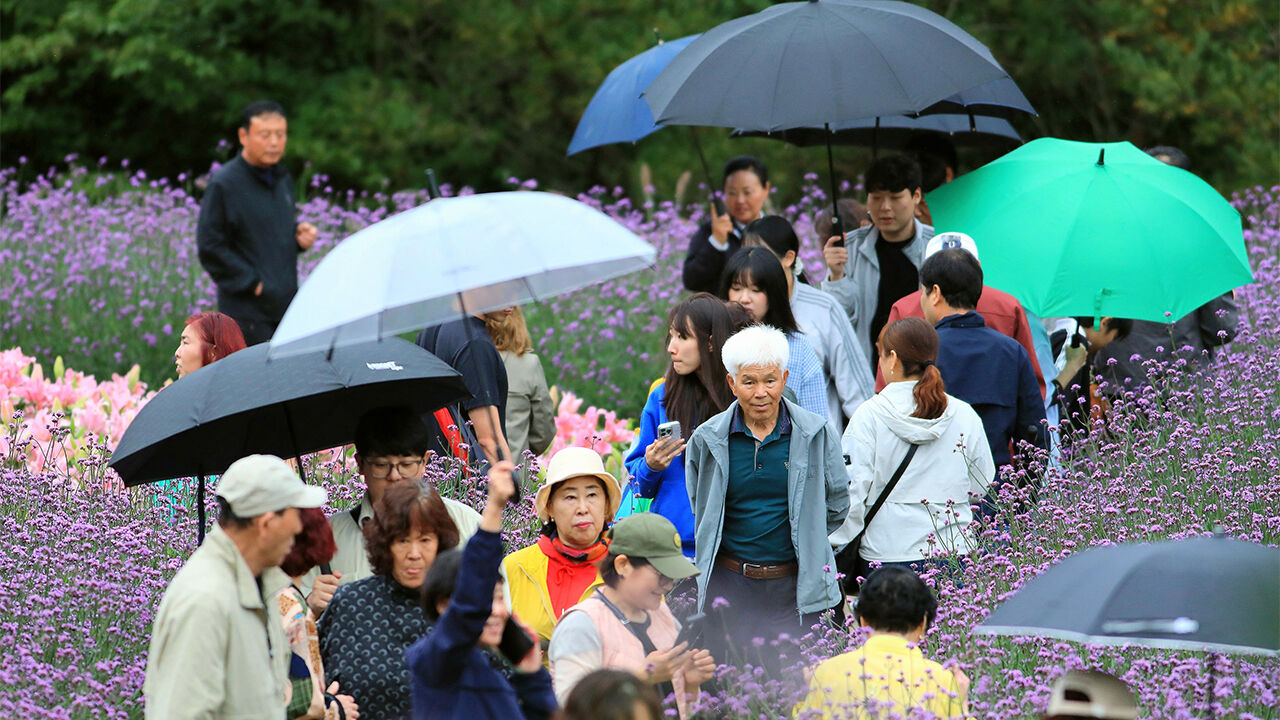 절기상 한로(寒露)…전국 대체로 흐리고 곳곳 가을비
