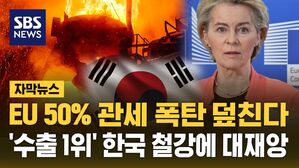 철강관세 자막뉴스