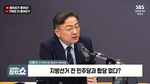 신장식