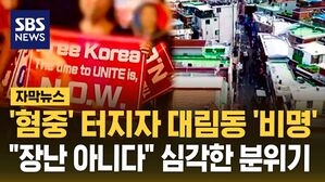 [자막뉴스] '혐중' 터지자 대림동 '비명'&hellip;"장난 아니다" 심각한 분위기