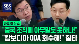 [바로이뉴스] "중국 조직에 왜 아무 말도 못 하나!" 캄보디아 한국인 납치 감금에 질타 쏟아진 국정감사