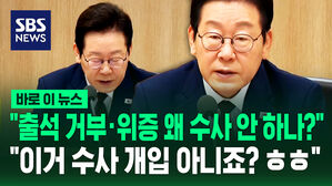 위증 이재명