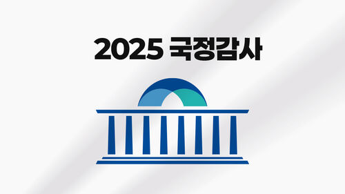 2025 국정감사