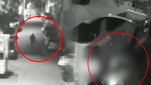 한밤 CCTV 보다 '깜짝'…주택가 머물던 남성 섬뜩 장면
