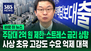 [바로이뉴스] 사상 초유 고강도 수요 억제책&hellip;"주담대 2억 원 제한"