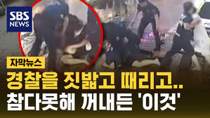 경찰 때리고