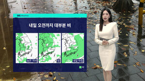 [날씨] 내일 오전까지 대부분 비…제주 최대 70mm