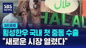 [D리포트] 횡성한우 국내 첫 중동 수출&hellip;"새로운 시장 열렸다"