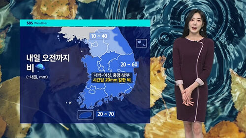 [날씨] 내일 오전까지 전국 비…주말 기온 뚝