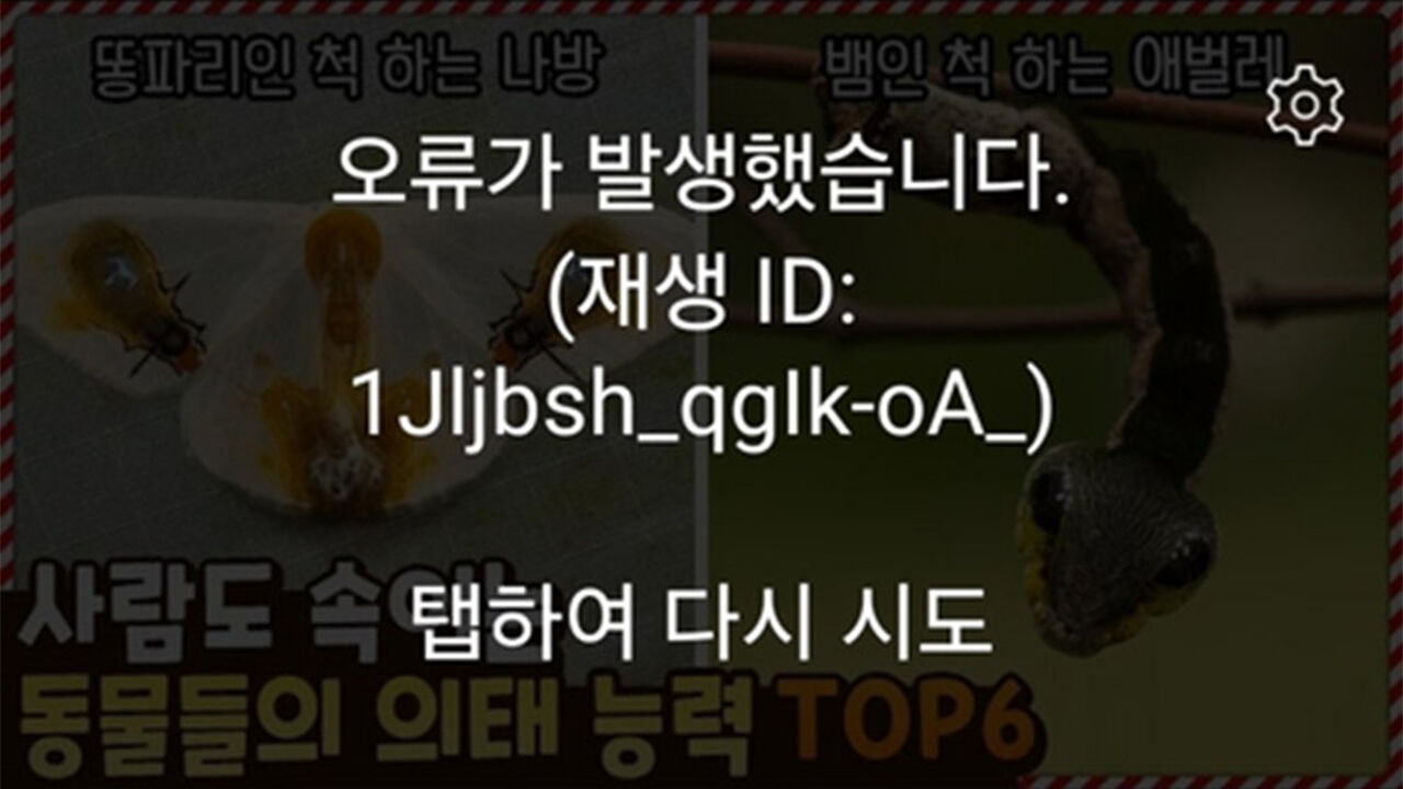 유튜브 접속 장애…모바일 등 일부 기기 재생 오류