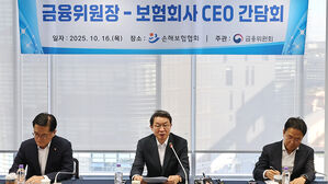 보험사 CEO 70% "내년 경제 올해와 비슷하거나 소폭 개선"