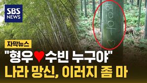 자막뉴스 교토 대나무숲