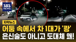 [자막뉴스] "어둠 속에서 나타나 갑자기&hellip;쾅!" 스텔스 차량, 그 처벌은?
