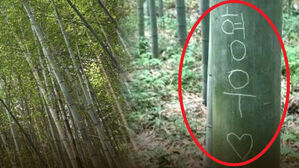 "형우♥수빈" 일본 명소 한글 낙서…열받은 교토시 결국 