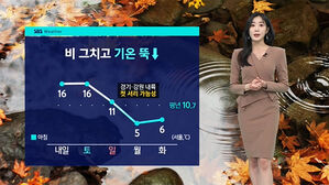 [날씨] 토요일까지 전국 비…다음 주 '첫눈' 가능성