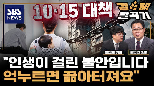 전세도 대출도 거래도 끝난다 10 15 부동산 봉쇄 의 결말은 ft 김인만 부동산경제연구소장 | SBS 경제탈곡기
