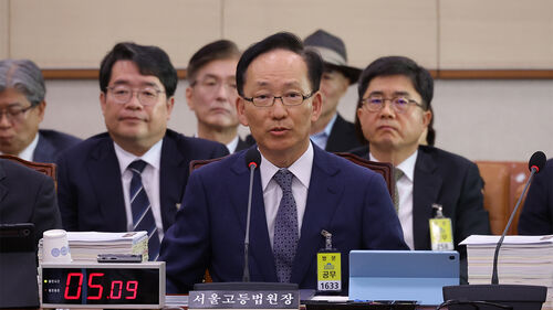 김대웅 서울고등법원 법원장이 20일 서울 여의도 국회에서 열린 2025년도 법제사법위원회 국정감사에 기관 증인으로 출석해 의원 질의에 답하고 있다.