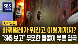 [자막뉴스] 바퀴벌레가 뭐라고&hellip;아기 구하고 숨진 젊은 엄마