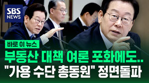 이재명 바로이뉴스