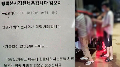 "방콕서 일하면 돈 확실히"…캄보디아는 빙산의 일각?