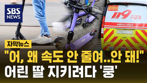 전동킥보드