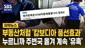 [자막뉴스] 부동산처럼 '캄보디아 풍선효과'&hellip;누르니까 주변국 옮겨 계속 '유혹'