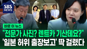 [바로이뉴스] "전문가요? 렌트카 기산데요?"&hellip;'일본 허위 출장보고' 딱 걸렸다