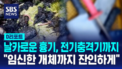 흑염소 디리디리