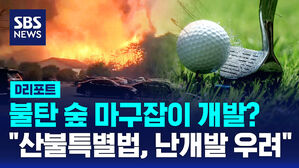 산불골프장 수정수정
