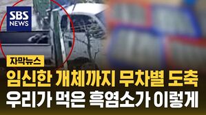 [자막뉴스] 임신한 개체까지 무차별 도축&hellip;우리가 먹은 흑염소가 이렇게
