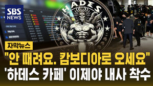 [자막뉴스] '캄보디아 납치 구인글 온상' 하데스 내사 착수