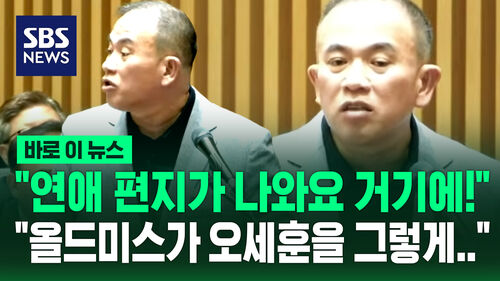 올드미스올드미스