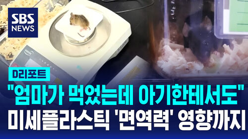 [D리포트] "엄마가 먹었는데 아기한테서도"…미세플라스틱 면역력 영향까지