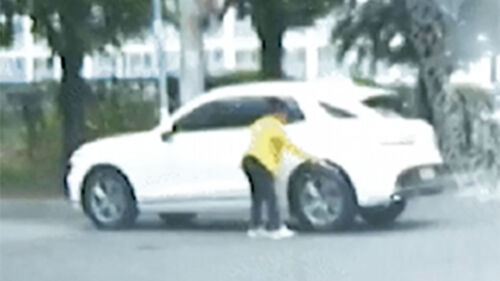 도로 한복판서 술 촤악…북어 툭툭 "이게 무슨 일?"