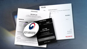 "6만 원이 10만 원 된다"…온라인 '다크패턴' 규제