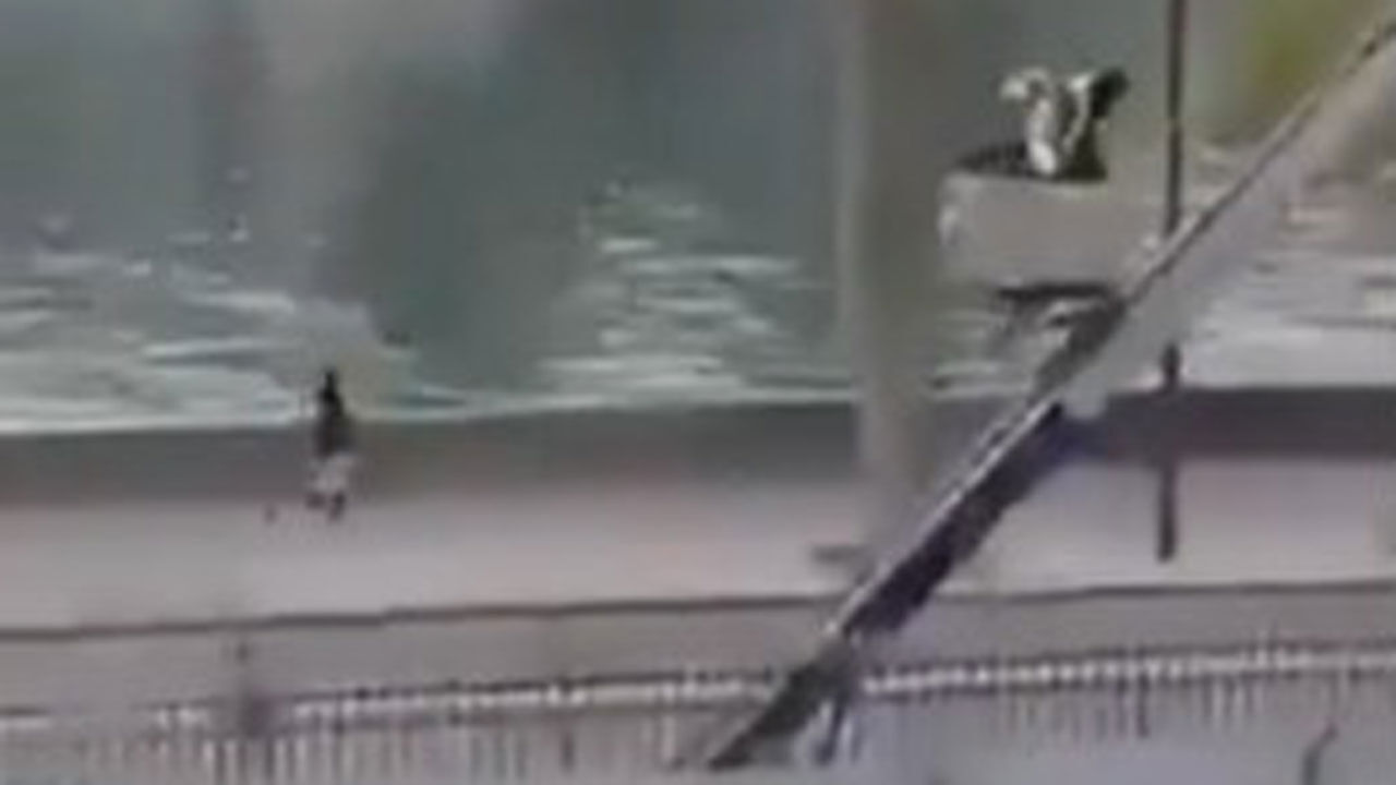 사다리차 타고 유유히 내려오는 루브르 도둑들…영상 포착