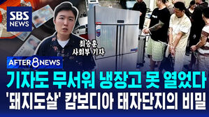 [AFTER 8NEWS] 기자도 무서워 냉장고 문 못 열었다…'돼지도살' 캄보디아 태자단지의 비밀