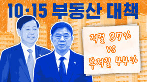 '초강력' 10.15 부동산 대책, 여론조사 결과는?  [스프]