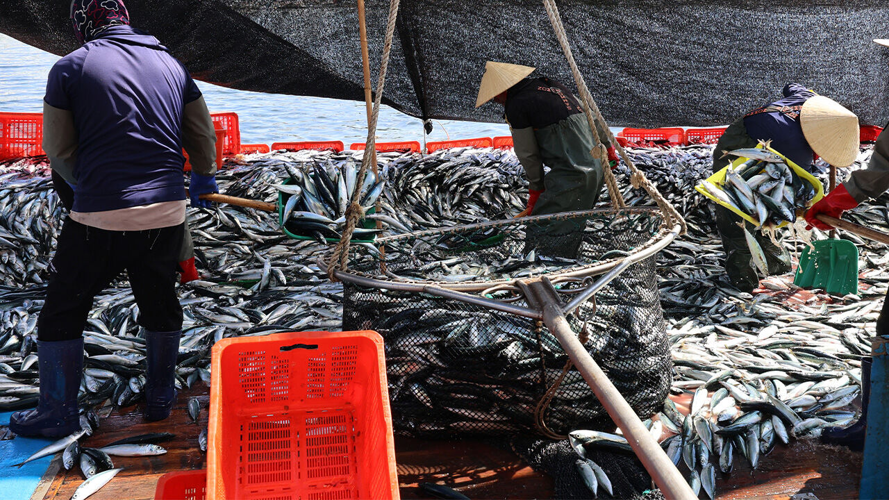 "해양 사고 인명피해 78% 일반·외국인 선원인데…안전교육 이수율 저조"