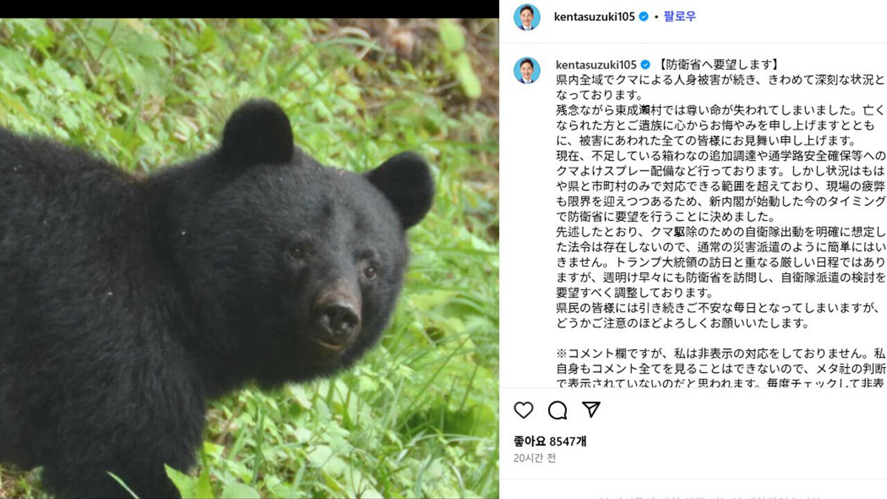 '곰 습격' 일본 아키타현, 자위대 파견 희망…"자체 대응 한계"