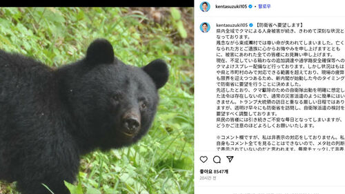 '곰 습격' 일본 아키타현, 자위대 파견 희망…"자체 대응 한계"