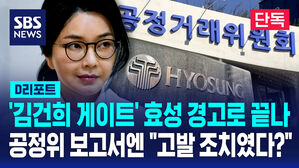 [D리포트] 공정위는 '경고'…공정위 심사보고서는 "고발해야"