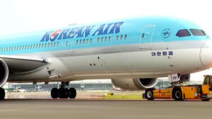 [단독] "대한항공 믿었는데" 분통…247명 20시간 '발 동동'