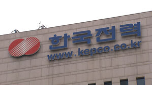 서울 관악구 일대 한때 정전&hellip;고압설비에 조류 접촉