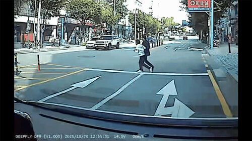 경찰 제지 무시하고 무단횡단 남성…알고 보니 96억 사기 수배자