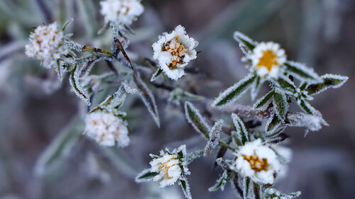 강원 설악산 영하 7.8도…출근길 영하권 강추위